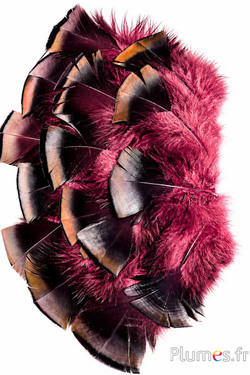 Bronzen kalkoen - 5-15 cm - perzik